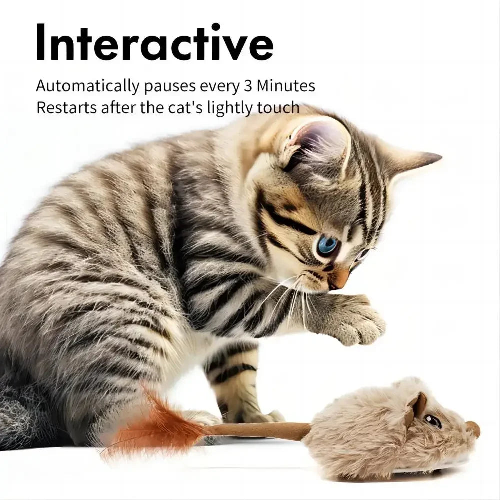 Rechargeable Moving Mouse Toy – Interactive Cat Play